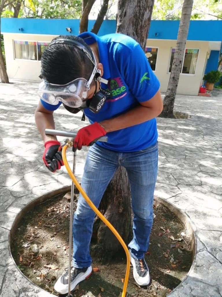 Técnico Chase con equipo de fumigación en árbol