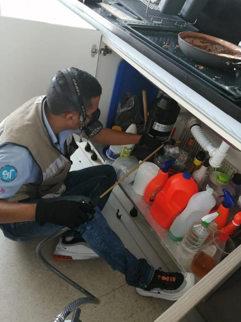 Técnico Chase inspeccionando y aplicando tratamiento en cocina