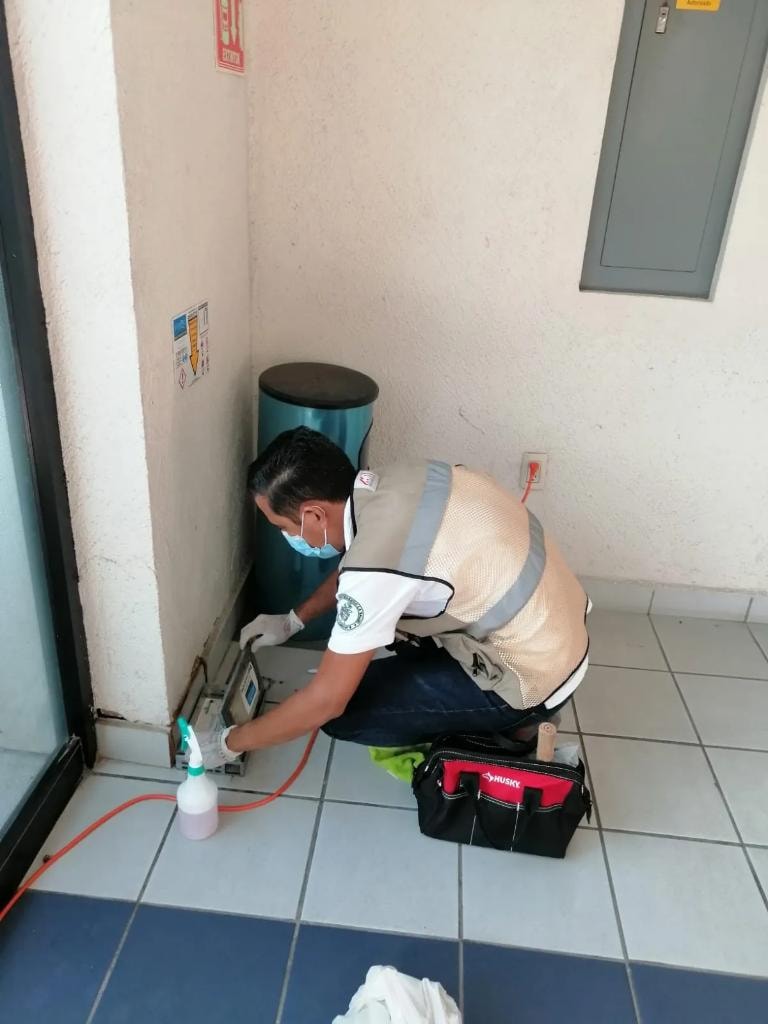 Técnico Chase aplicando tratamiento en edificio