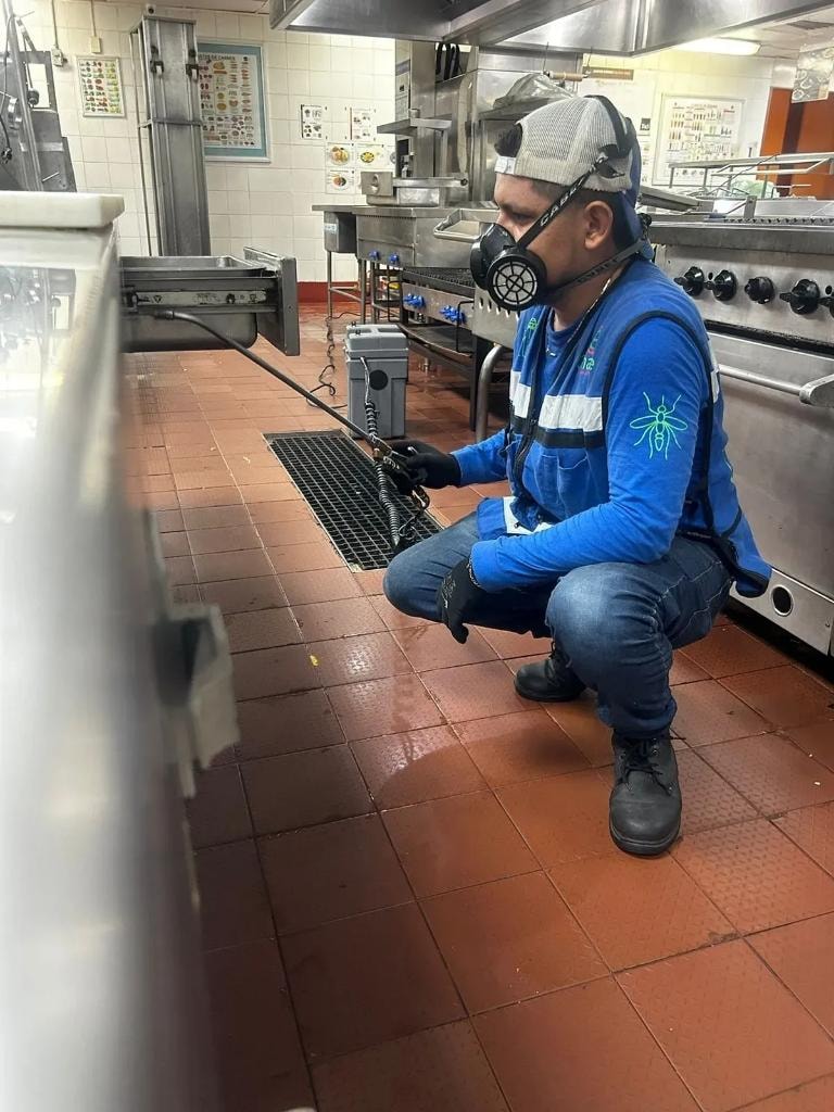 Tratamiento de plagas en interiores